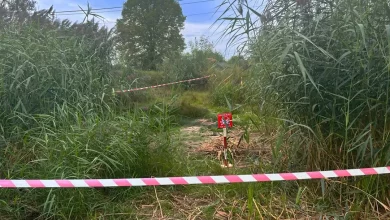 У селі Коти на Львівщині знищили мінометну міну часів Другої світової війни