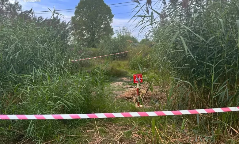 У селі Коти на Львівщині знищили мінометну міну часів Другої світової війни