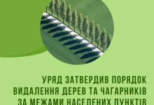 Уряд затвердив новий порядок видалення дерев за межами населених пунктів