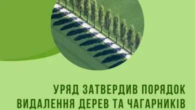Уряд затвердив новий порядок видалення дерев за межами населених пунктів