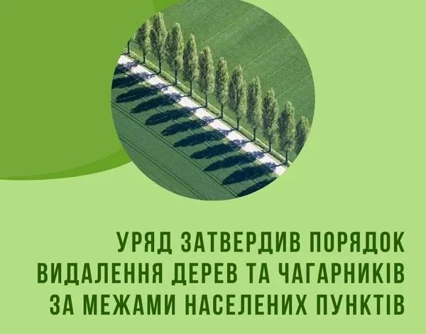 Уряд затвердив новий порядок видалення дерев за межами населених пунктів