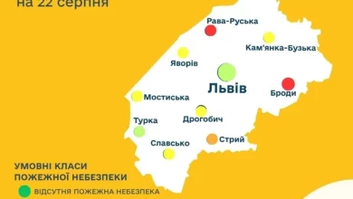 Прогноз пожежної небезпеки на 22 серпня
