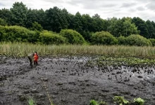 У селищі Івано-Франкове рятувальники визволили жінку з болотистої місцевості