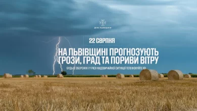 На Львівщині 22 серпня очікують грози, град і сильний вітер