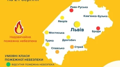 На Львівщині оголосили високий та надзвичайний рівень пожежної небезпеки