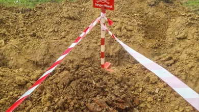 У селі Завадка на Стрийщині знищили сім мінометних мін часів Другої світової