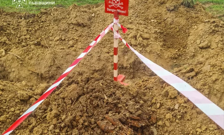 У селі Завадка на Стрийщині знищили сім мінометних мін часів Другої світової