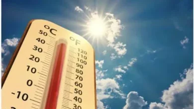 На Львівщині оголосили червоний рівень небезпеки через спеку