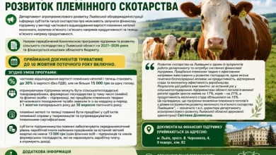 На Львівщині компенсують частину вартості племінних нетелей і телиць