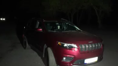 У Соснівці нетверезий водій Jeep Cherokee збив подружжя пішоходів