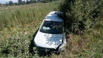 На Львівщині за добу сталось 14 ДТП з травмованими