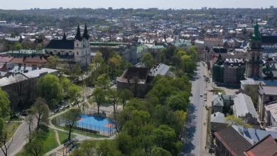 У Львівській громаді оновили назви вулиць і площі Короля Данила