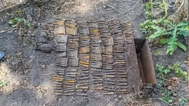 На Львівщині знищили гранату та артснаряди часів Другої світової війни
