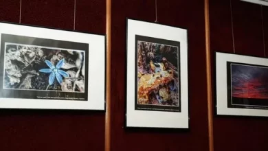 У Львові в музеї Грушевського відкрили фотовиставку військового Георгія Сутуріна