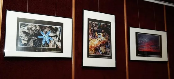 У Львові в музеї Грушевського відкрили фотовиставку військового Георгія Сутуріна