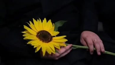 У Львові проведуть вечір-реквієм до Дня пам’яті захисників України