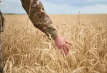 Ветерани Львівщини можуть отримати до 500 тис.