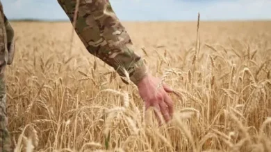 Ветерани Львівщини можуть отримати до 500 тис.