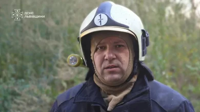 На Львівщині за добу ліквідували 28 пожеж, більшість — в екосистемах
