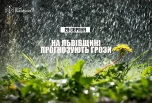 29 серпня на Львівщині очікують грози: рятувальники нагадують правила безпеки