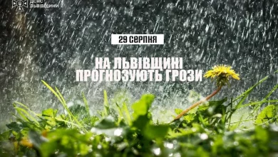 29 серпня на Львівщині очікують грози: рятувальники нагадують правила безпеки