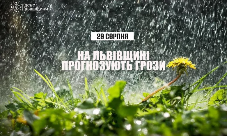 29 серпня на Львівщині очікують грози: рятувальники нагадують правила безпеки