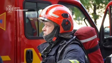 На Львівщині за добу ліквідували 29 пожеж, більшість — в екосистемах
