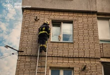 У Трускавці рятувальники зняли кота, що застряг між вікнами житлового будинку