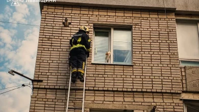 У Трускавці рятувальники зняли кота, що застряг між вікнами житлового будинку