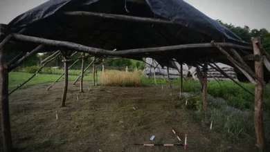 У заповіднику «Давній Пліснеськ» дослідили ймовірну майстерню Х століття