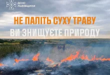 На Львівщині за добу зафіксували 14 пожеж в екосистемах