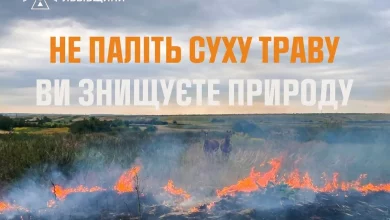 На Львівщині за добу зафіксували 14 пожеж в екосистемах