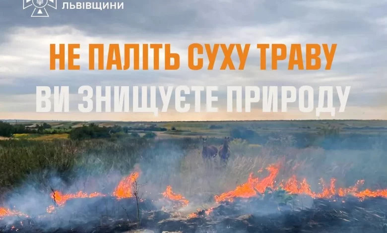 На Львівщині за добу зафіксували 14 пожеж в екосистемах