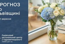 Прогноз погоди на 1 вересня 2026 року для Львівщини та Львова