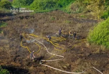 На Львівщині за добу ліквідували 19 пожеж в екосистемах