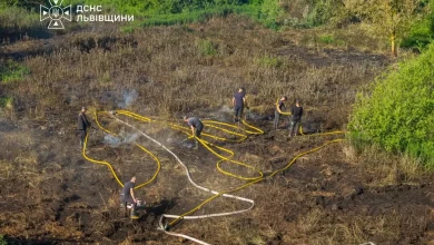 На Львівщині за добу ліквідували 19 пожеж в екосистемах