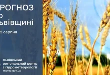 Прогноз погоди на 2 серпня для Львівщини та Львова