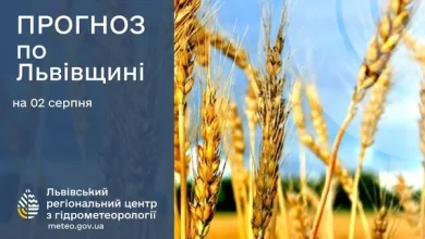 Прогноз погоди на 2 серпня для Львівщини та Львова