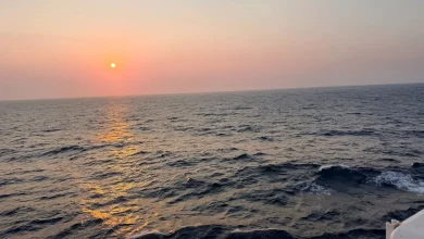 Як підготувати смартфон до морського круїзу для економного дозвілля