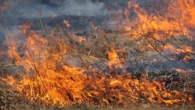 У Львові 5–6 серпня очікують до +42°С та надзвичайну пожежну небезпеку
