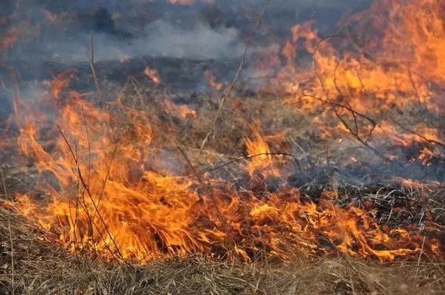 У Львові 5–6 серпня очікують до +42°С та надзвичайну пожежну небезпеку