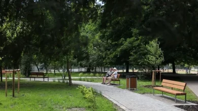 На Тракті Глинянському у Львові створять меморіальний «Сад пам’яті»