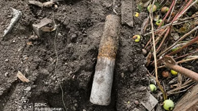 У Давидові під час земляних робіт знайшли артснаряд часів Другої світової