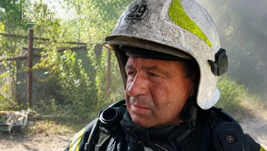 За добу на Львівщині ліквідували 11 пожеж, більшість — в екосистемах