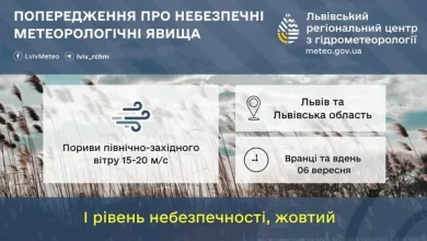 06 вересня на Львівщині очікують сильний вітер жовтого рівня небезпеки