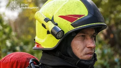 На Львівщині за добу рятувальники загасили 7 пожеж, з них 3 в екосистемах