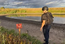 Поблизу села Велике Колодно виявили застарілу мінометну міну