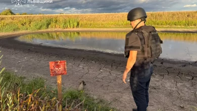 Поблизу села Велике Колодно виявили застарілу мінометну міну