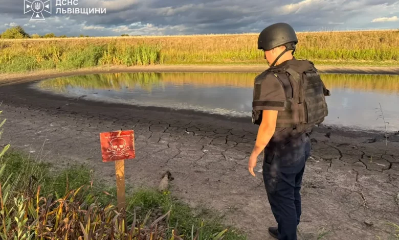 Поблизу села Велике Колодно виявили застарілу мінометну міну