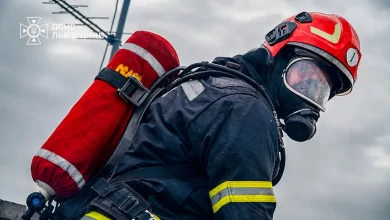 На Львівщині за добу ліквідували 33 пожежі, з них 19 в екосистемах